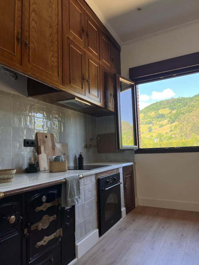 Mountain View Apartment Mieres  Eksteriør billede