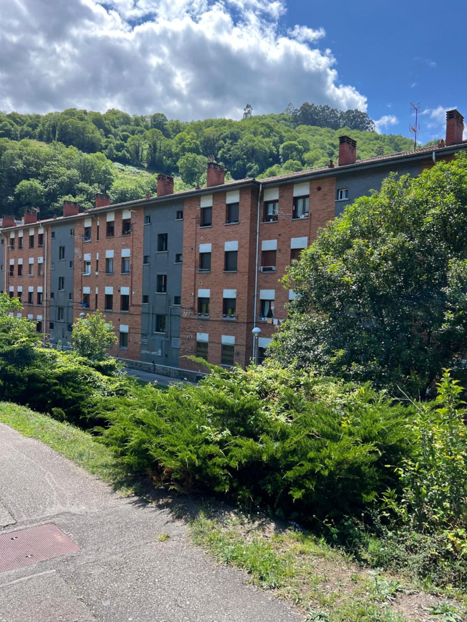 Mountain View Apartment Mieres  Eksteriør billede