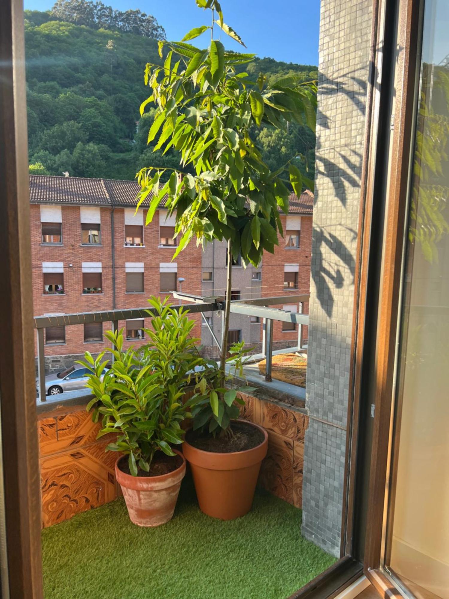 Mountain View Apartment Mieres  Eksteriør billede